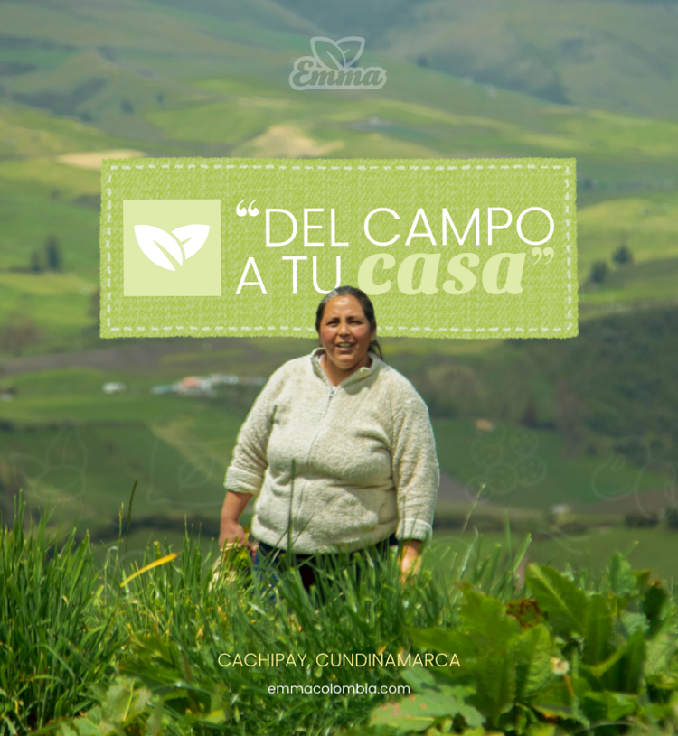 Mujer campesina cosechando en el campo colombiano